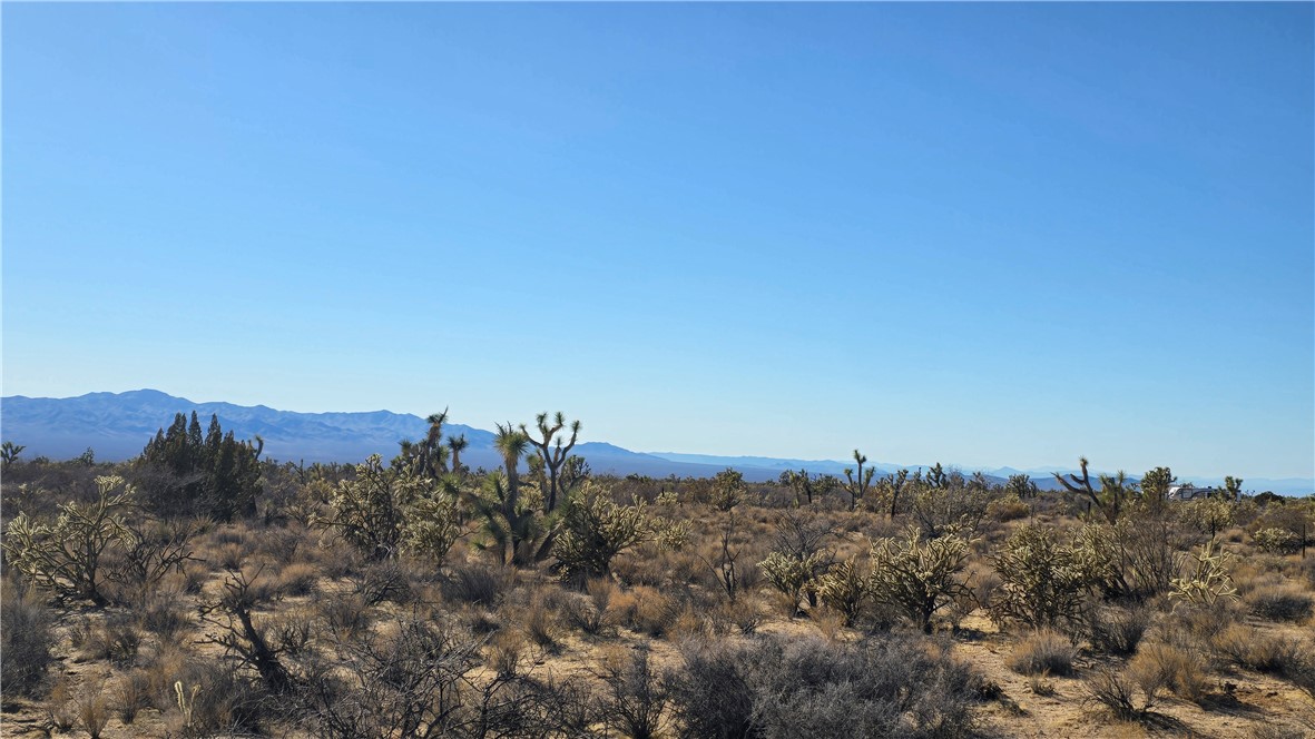 2358 South Cattle Crossing Road Yucca, AZ 86438 - Photo 24 of 26 View