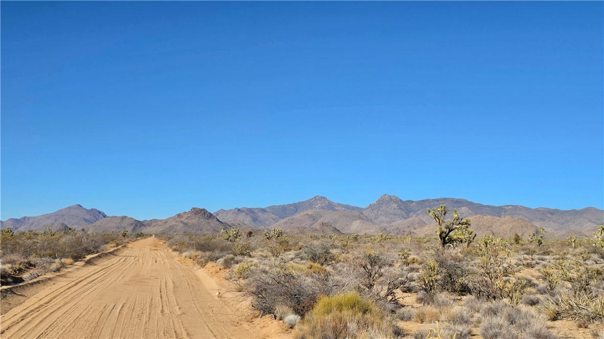 2358 South Cattle Crossing Road Yucca, AZ 86438 - Photo 25 of 26 View