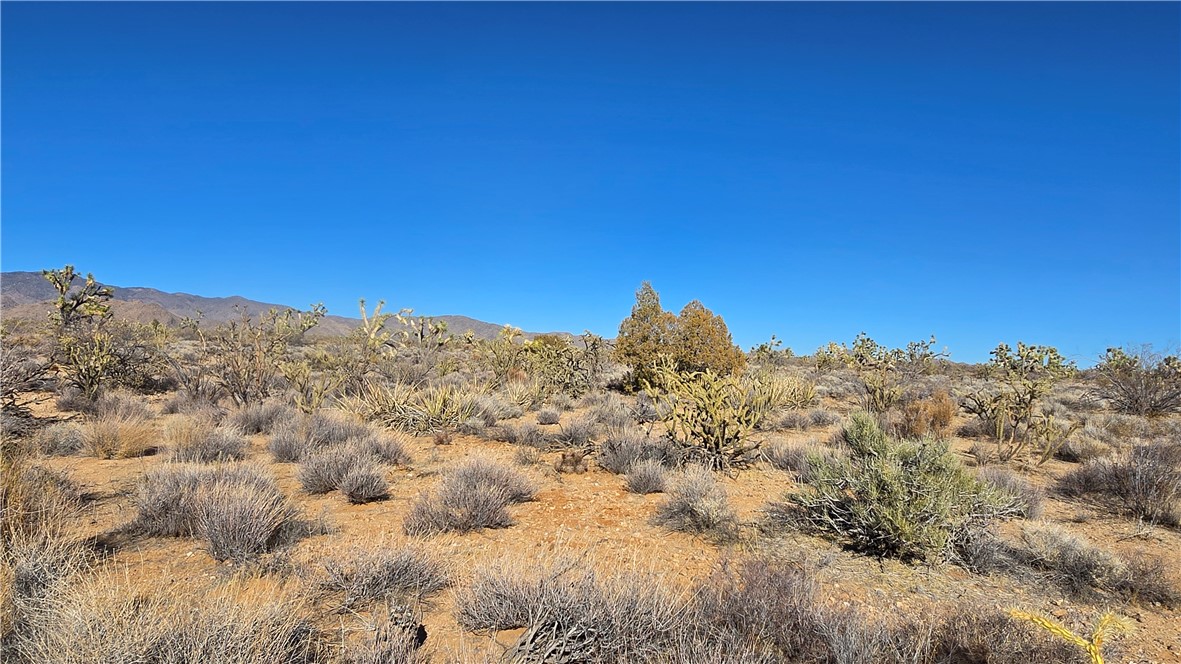 2358 South Cattle Crossing Road Yucca, AZ 86438 - Photo 26 of 26 View