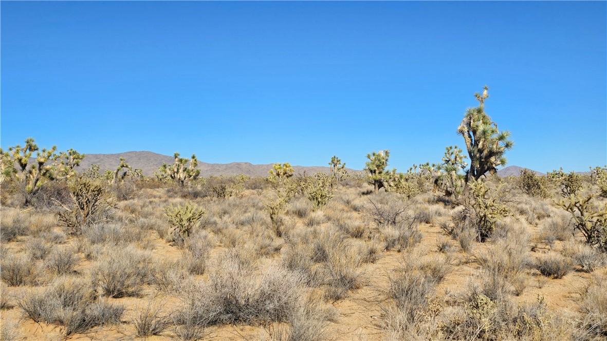 2358 South Cattle Crossing Road Yucca, AZ 86438 - Photo 10 of 26 View