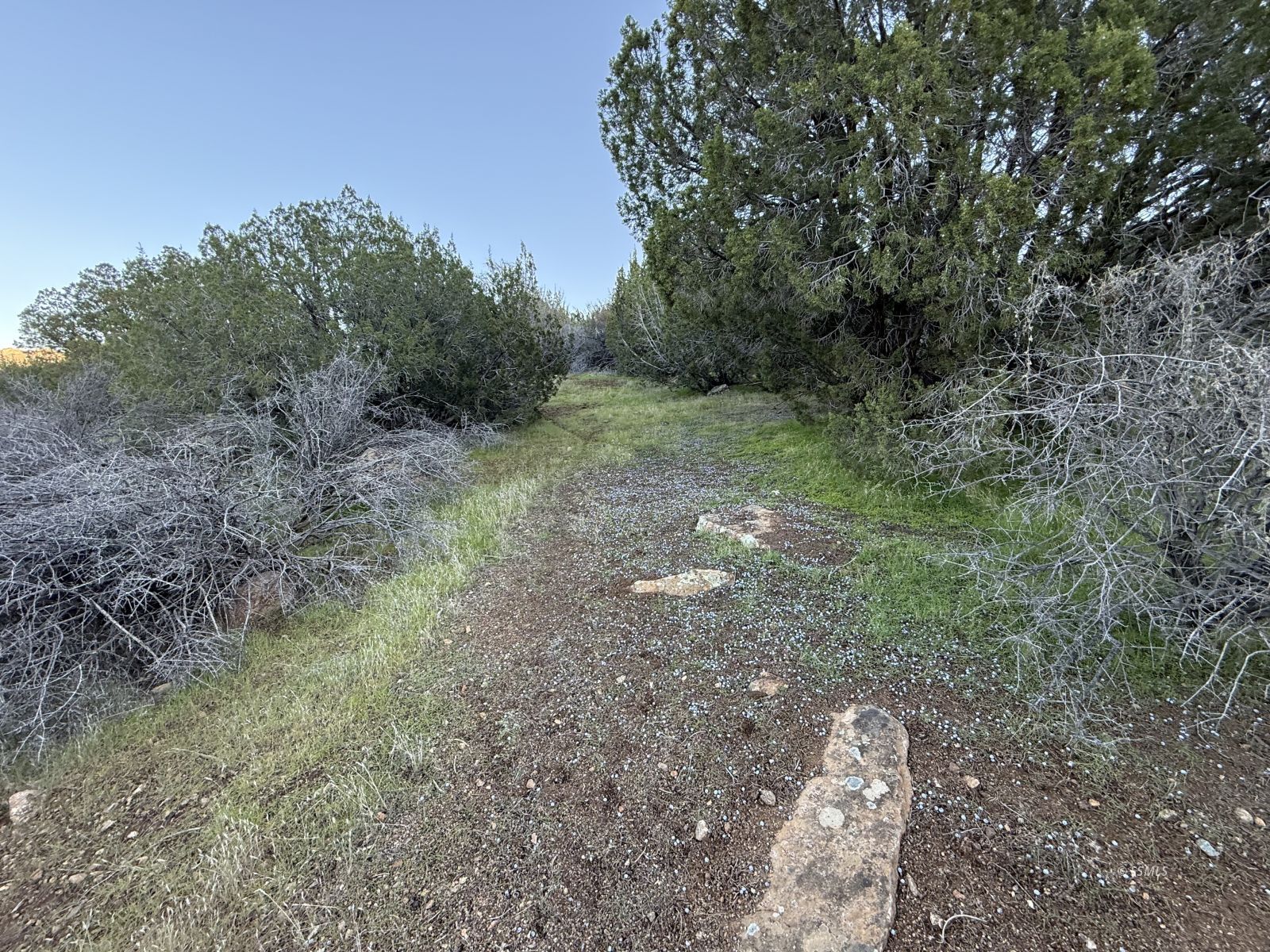 394 Rim Road Bodfish, CA 93205 - Photo 4 of 7