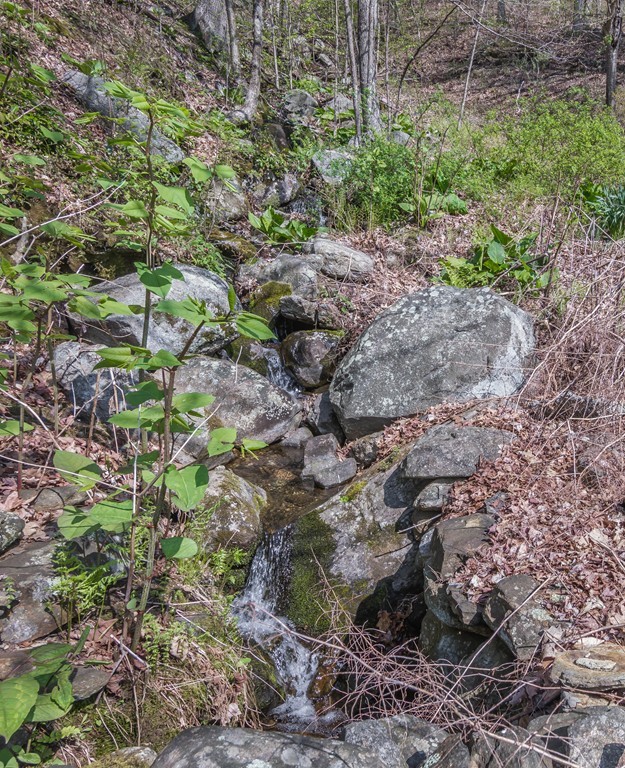 442 Boston Road Palmer, MA 01069 - Photo 3 of 30