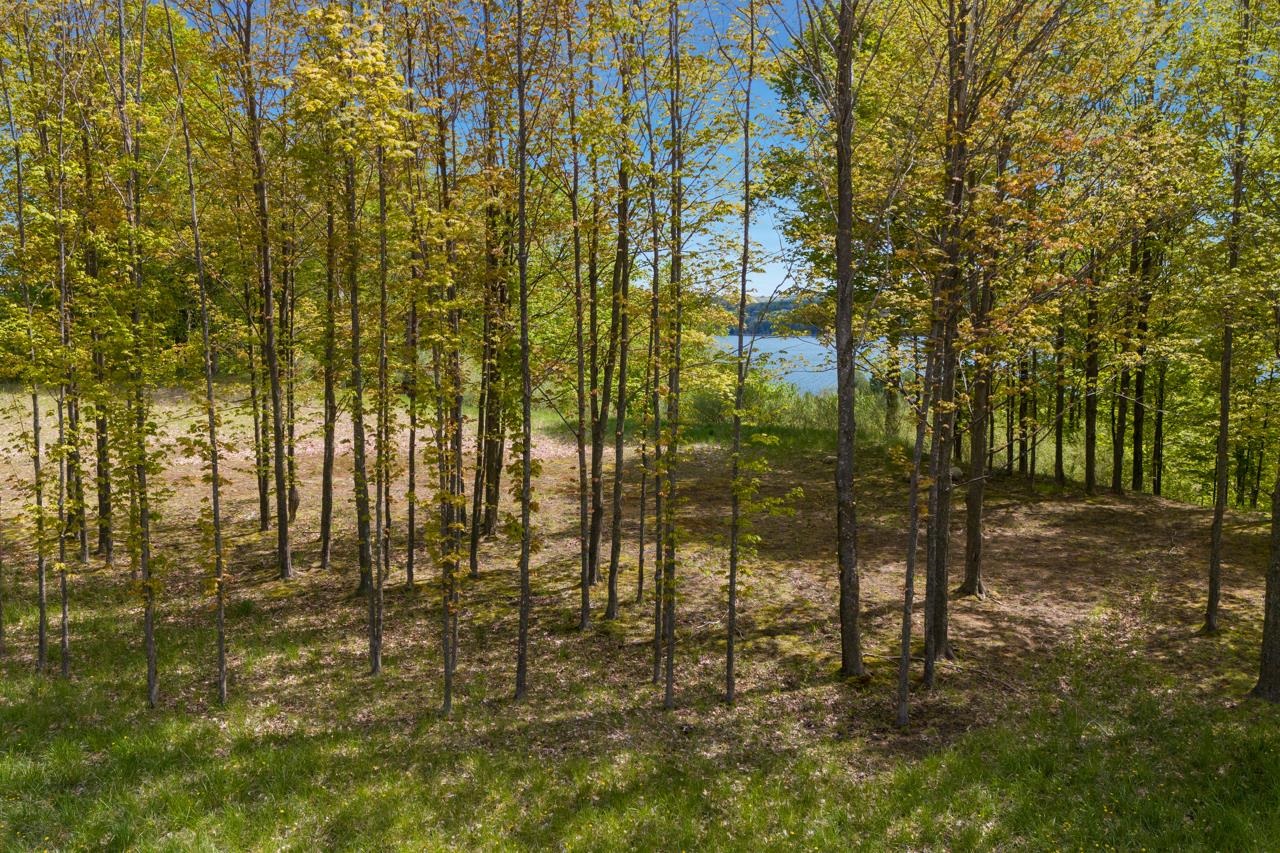 7 Miley Point Bellaire, MI 49615 - Photo 20 of 35 1922223-ca825d50-60e7-4a25-bfde-455358256f03.JPG