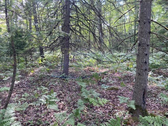 Silver Strand Road Levering, MI 49755 - Photo 8 of 18