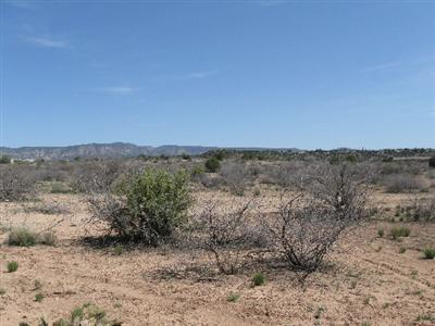 0 Beaver Creek Road Rimrock, AZ 86335 - Photo 1 of 2 Primary Photo