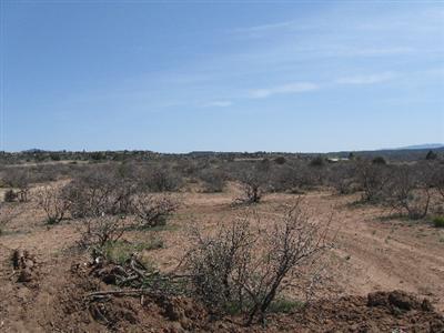 0 Beaver Creek Road Rimrock, AZ 86335 - Photo 2 of 2 Additional Photo