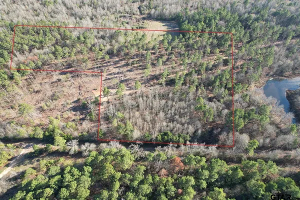 a view of lot of plants and trees