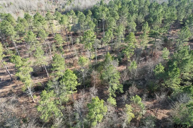 a aerial view of a house with a yard