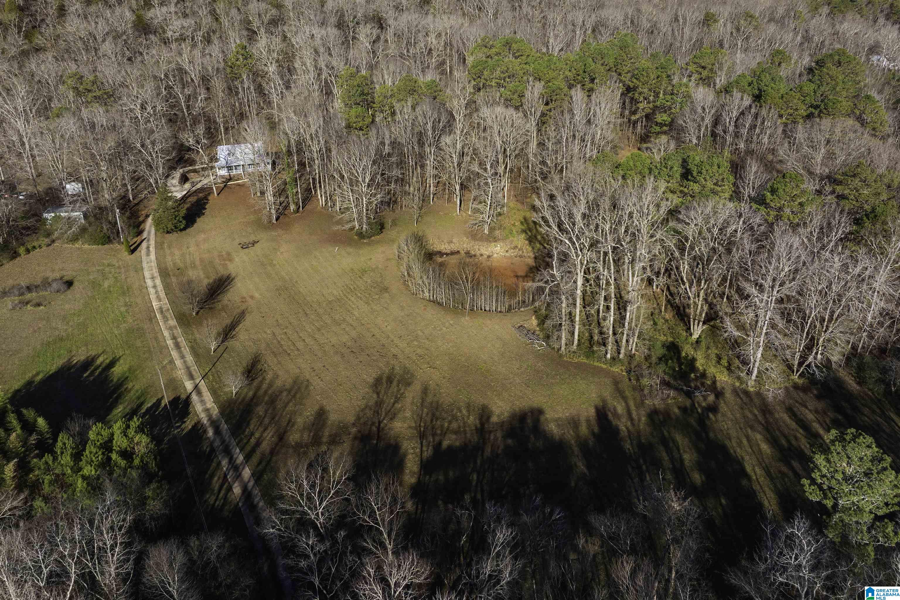 1775 Red Valley Road Remlap, AL 35133 - Photo 50 of 56