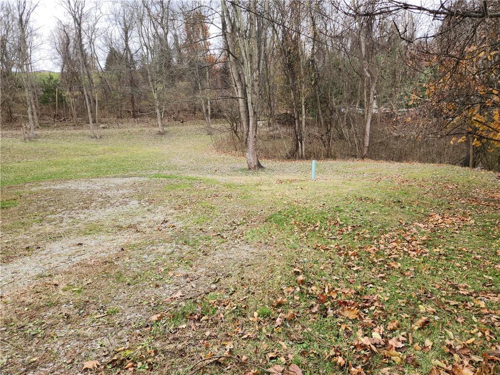 31 Wheatley Road Charleroi, PA 15022 - Photo 2 of 48 a view of a yard with large trees