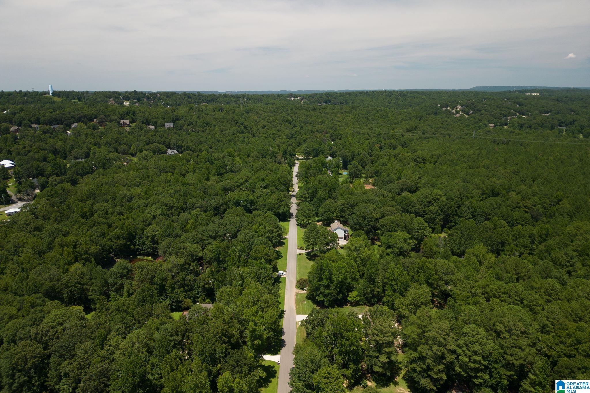 132 Chestnut Lane Helena, AL 35080 - Photo 50 of 59
