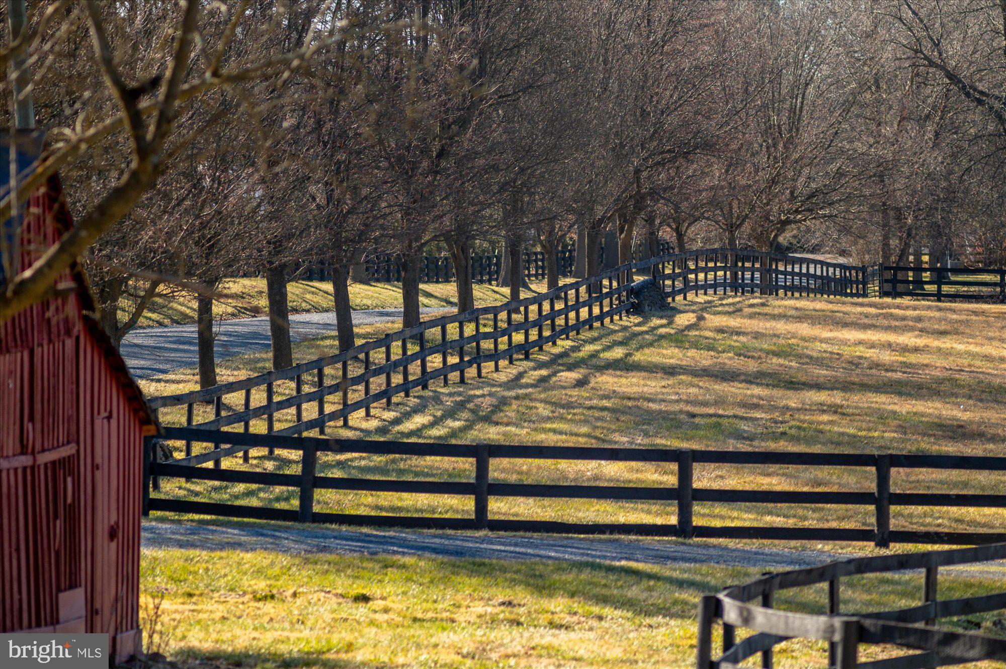 18935 Yellow Schoolhouse Road Bluemont, VA 20135 - Photo 67 of 74