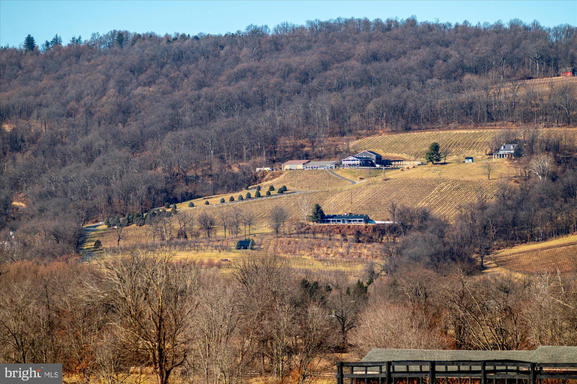 18935 Yellow Schoolhouse Road Bluemont, VA 20135 - Photo 71 of 74