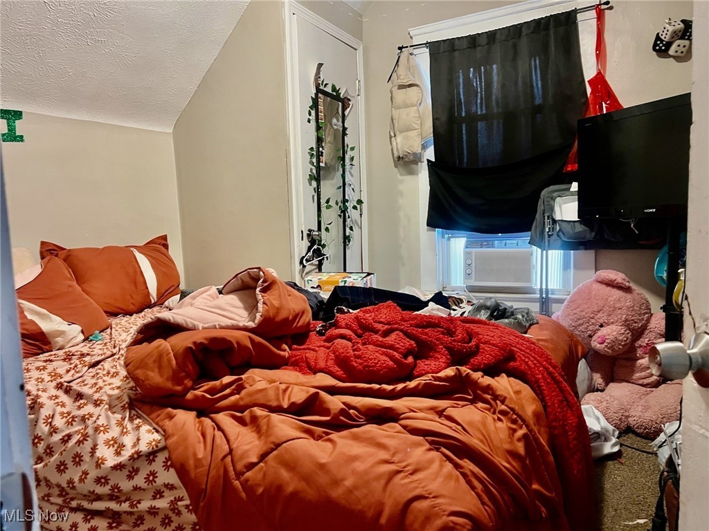 836 Rudyard Road Cleveland, OH 44110 - Photo 8 of 13