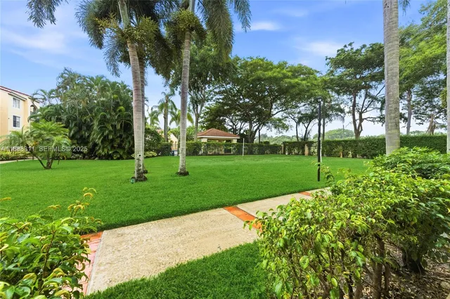 a view of a park with tree s