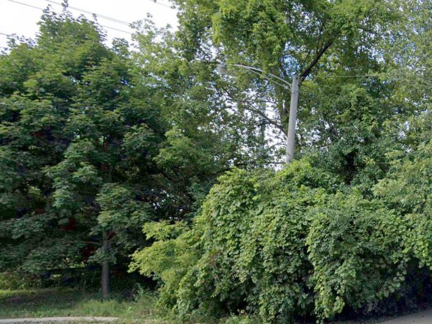 517 Public Service Avenue Waukegan, IL 60085 - Photo 1 of 3 an aerial view of a forest with houses