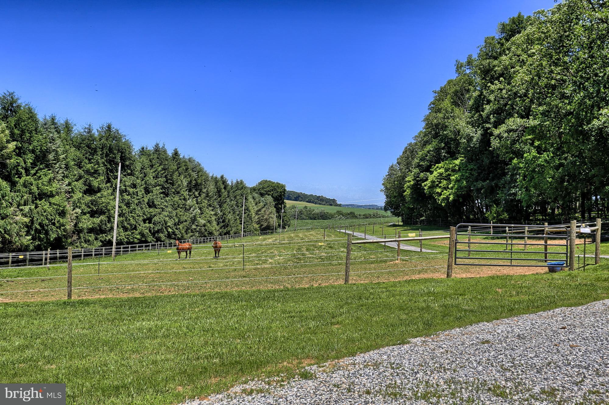 6500 McCleary Road Stewartstown, PA 17363 - Photo 5 of 41 Gallery Image 5