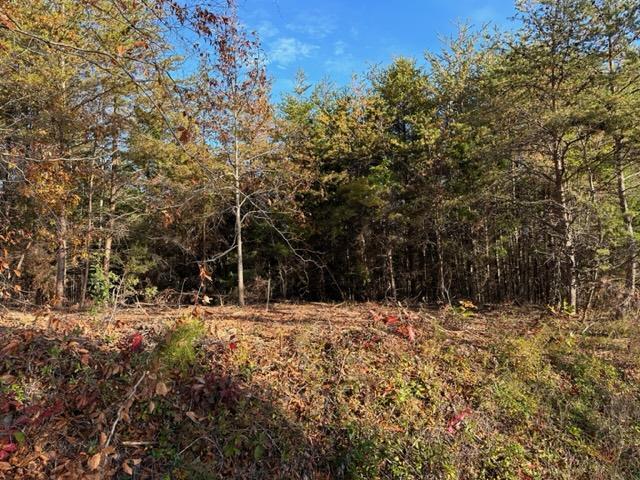 2 C Liberty Chapel Road, Unit 2C Appomattox, VA 24522 - Photo 1 of 2 Gallery Image 1