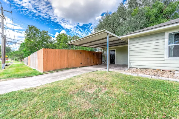 a view of backyard with potted plants and a large tree