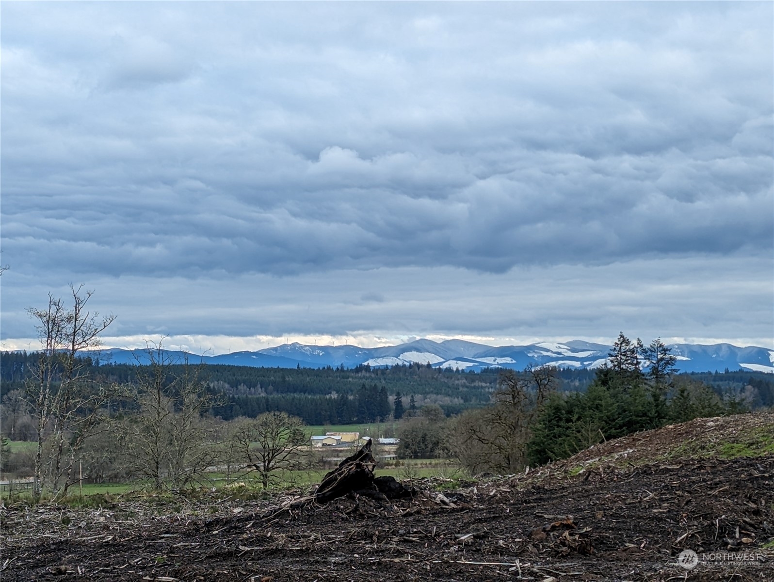 151 Coulson Road Chehalis, WA 98532 - Photo 4 of 7 a view of a mountain