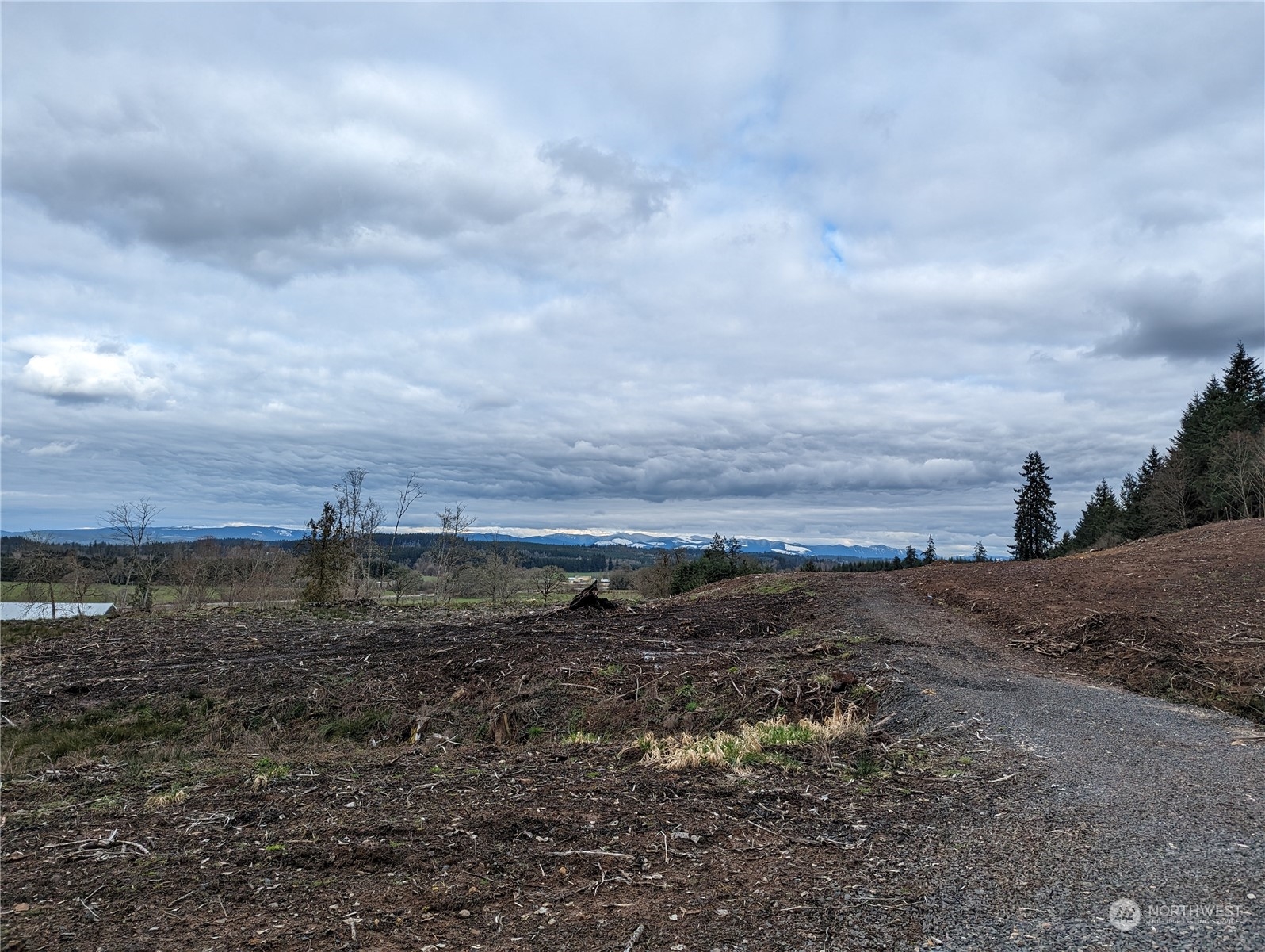 151 Coulson Road Chehalis, WA 98532 - Photo 6 of 7 a view of a road with an ocean