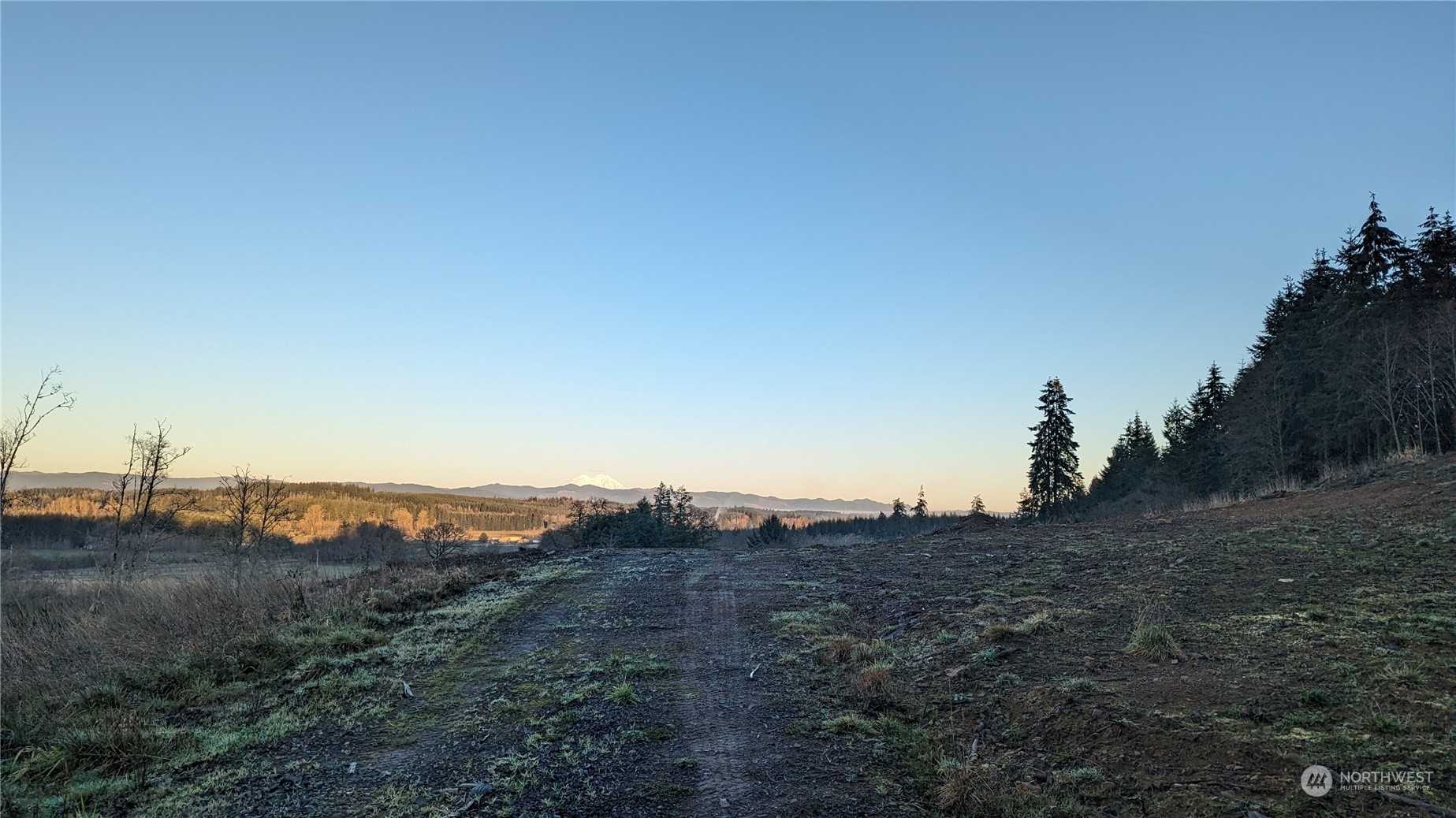 151 Coulson Road Chehalis, WA 98532 - Photo 7 of 7 a view of a dry field