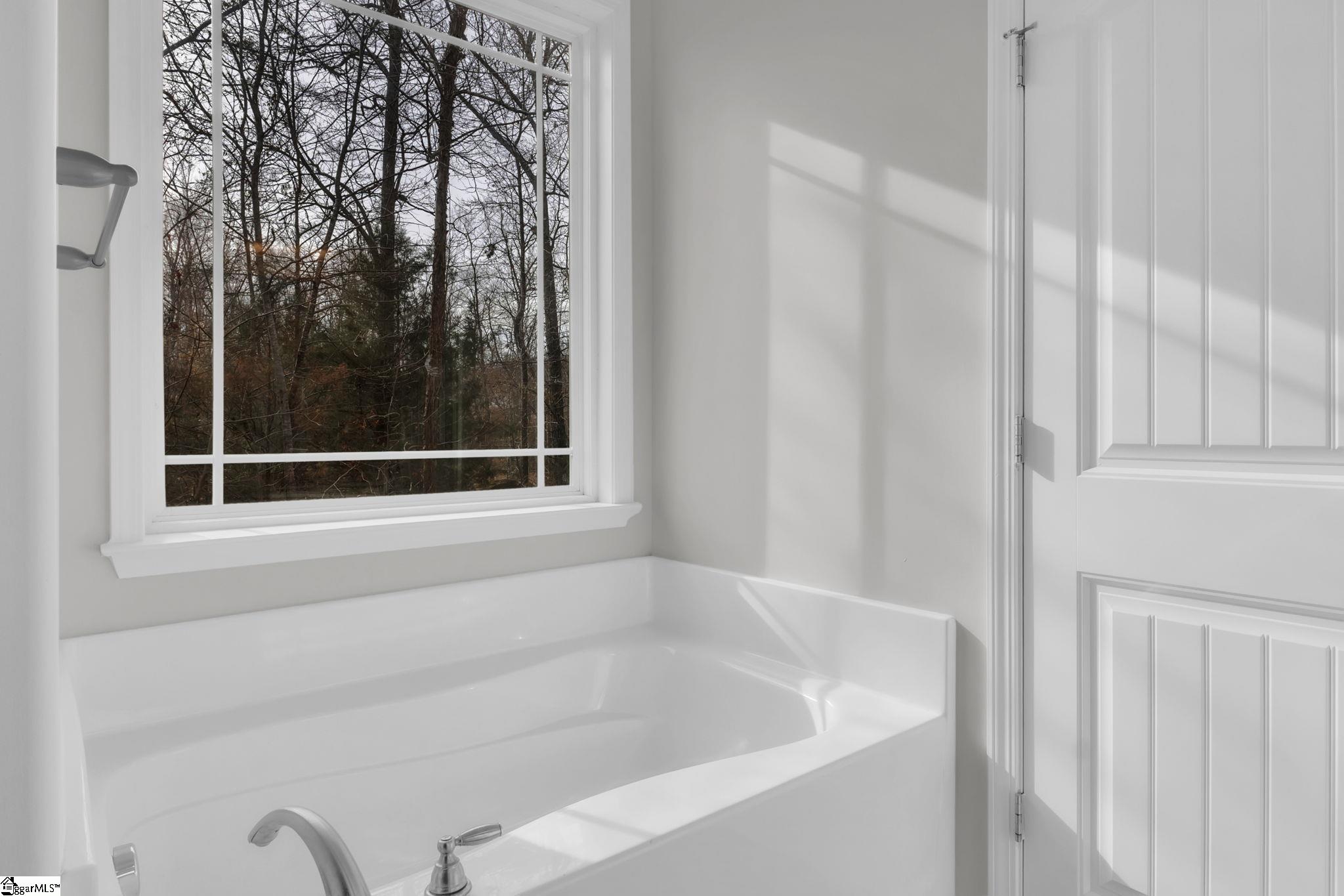 27 Collins Mills Court Simpsonville, SC 29681 - Photo 15 of 25