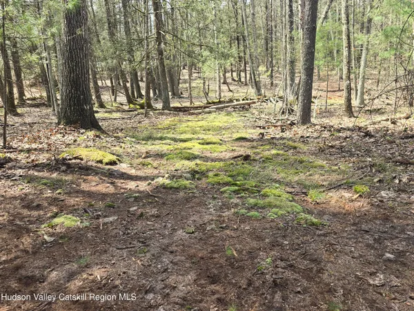 $179,000 | Lot #5 Evergreen Drive, Saugerties, NY 12477