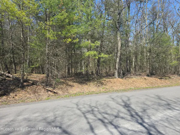 $179,000 | Lot #5 Evergreen Drive, Saugerties, NY 12477