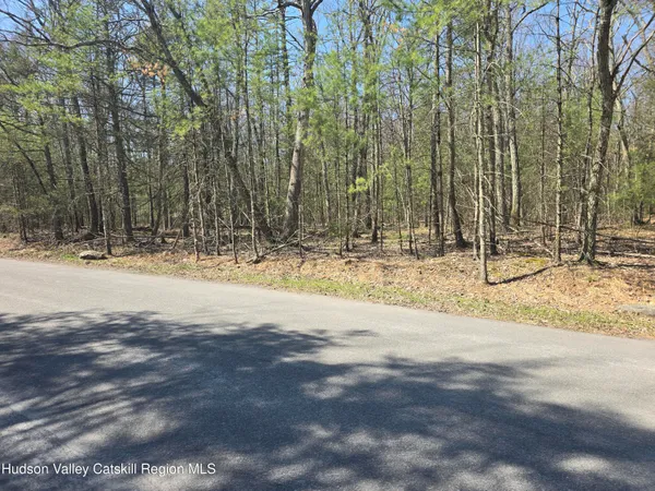 $179,000 | Lot #5 Evergreen Drive, Saugerties, NY 12477