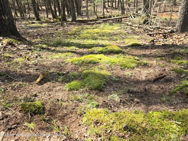 $179,000 | Lot #5 Evergreen Drive, Saugerties, NY 12477