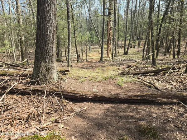 $179,000 | Lot #5 Evergreen Drive, Saugerties, NY 12477