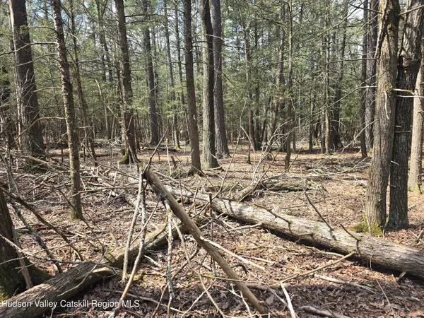 $179,000 | Lot #5 Evergreen Drive, Saugerties, NY 12477
