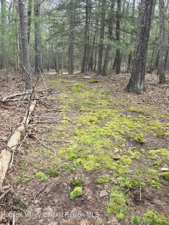 $179,000 | Lot #5 Evergreen Drive, Saugerties, NY 12477
