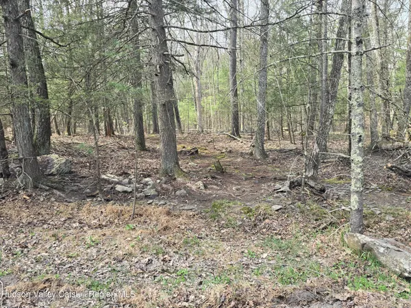 $179,000 | Lot #5 Evergreen Drive, Saugerties, NY 12477