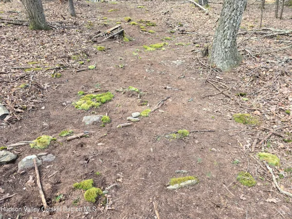 $179,000 | Lot #5 Evergreen Drive, Saugerties, NY 12477