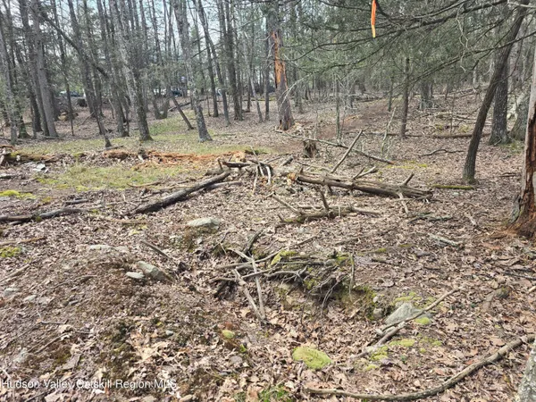 $179,000 | Lot #5 Evergreen Drive, Saugerties, NY 12477