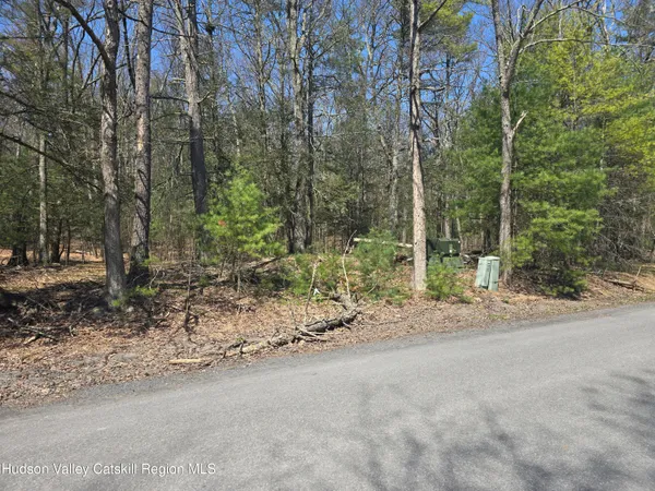 $179,000 | Lot #5 Evergreen Drive, Saugerties, NY 12477