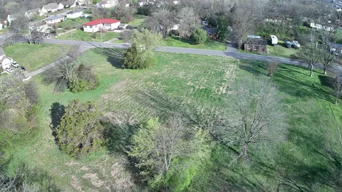 a view of a garden with plants and large trees