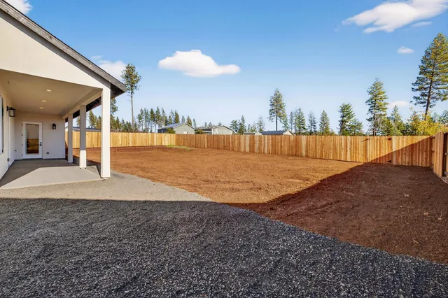 a view of a park with large trees