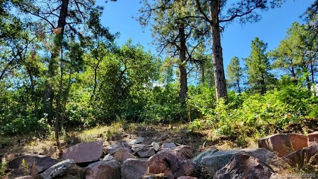 a bedroom with bed and wooden floor