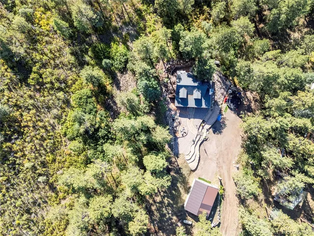 a wooden bench sitting in middle of a forest