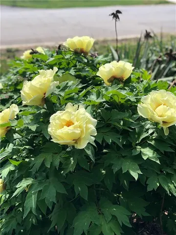 $270,000 | 13808 Norby Road, Grandview, MO 64030