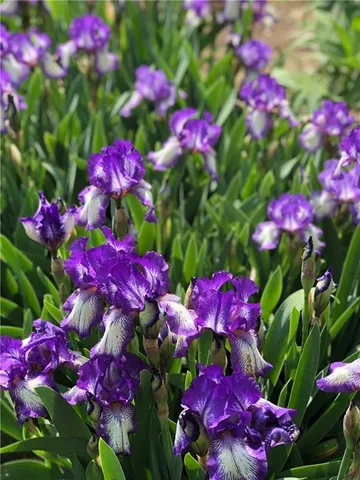 $270,000 | 13808 Norby Road, Grandview, MO 64030