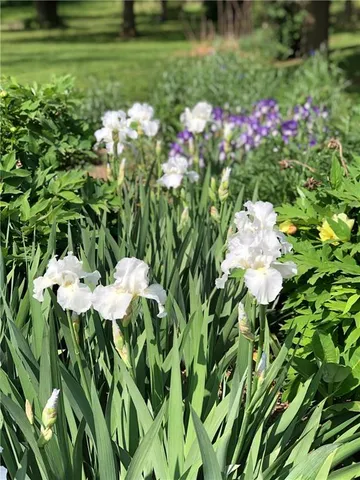 $270,000 | 13808 Norby Road, Grandview, MO 64030