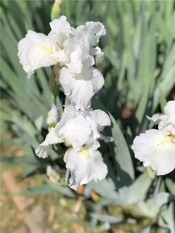 $270,000 | 13808 Norby Road, Grandview, MO 64030