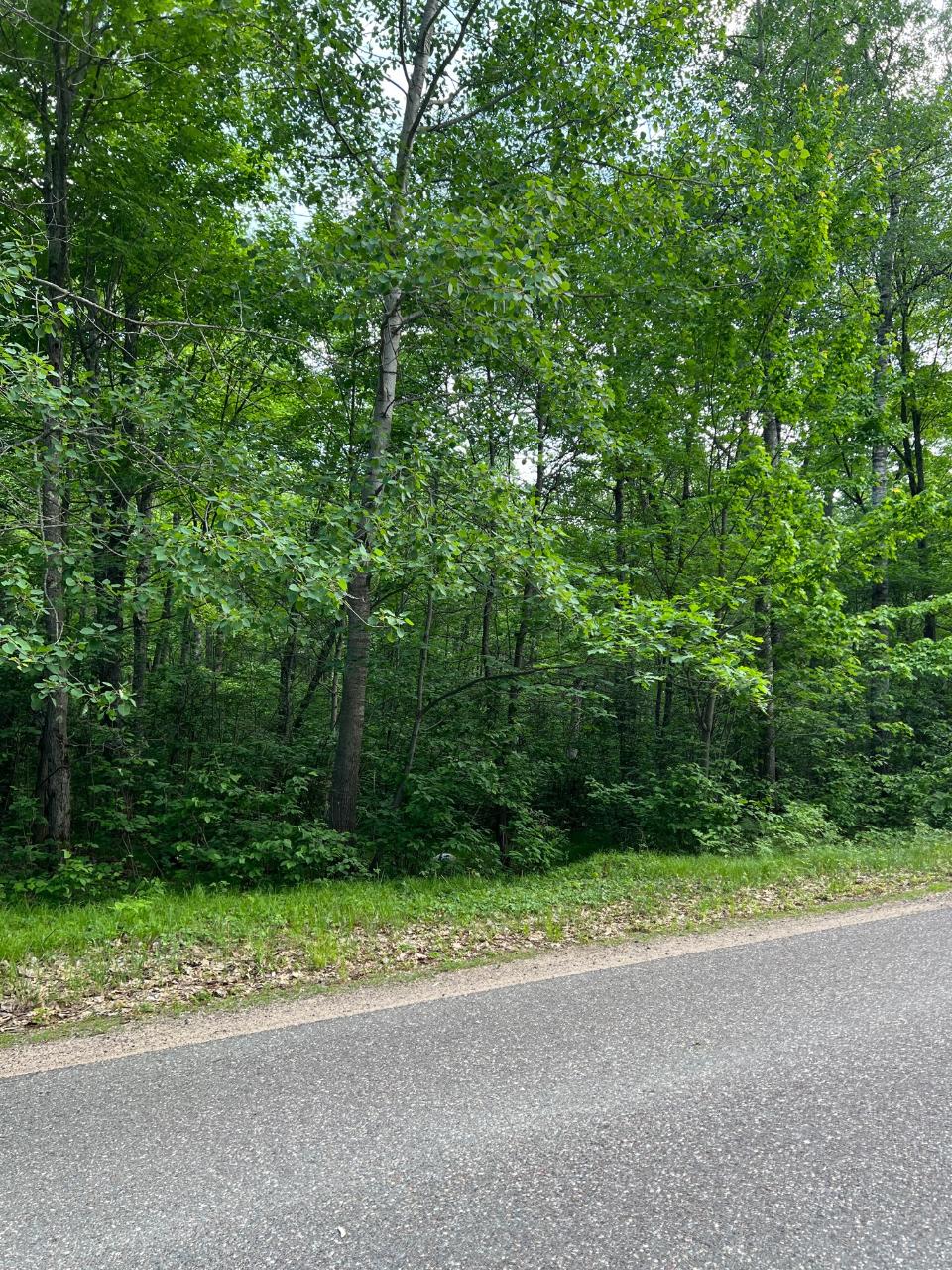 On Lakewood Road Hazelhurst, WI 54531 - Photo 1 of 6 Gallery Image 1