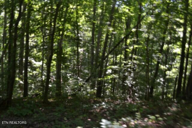 2390 Pea Ridge Fire Tower Road Celina, TN 38551 - Photo 23 of 58 DSC_0100