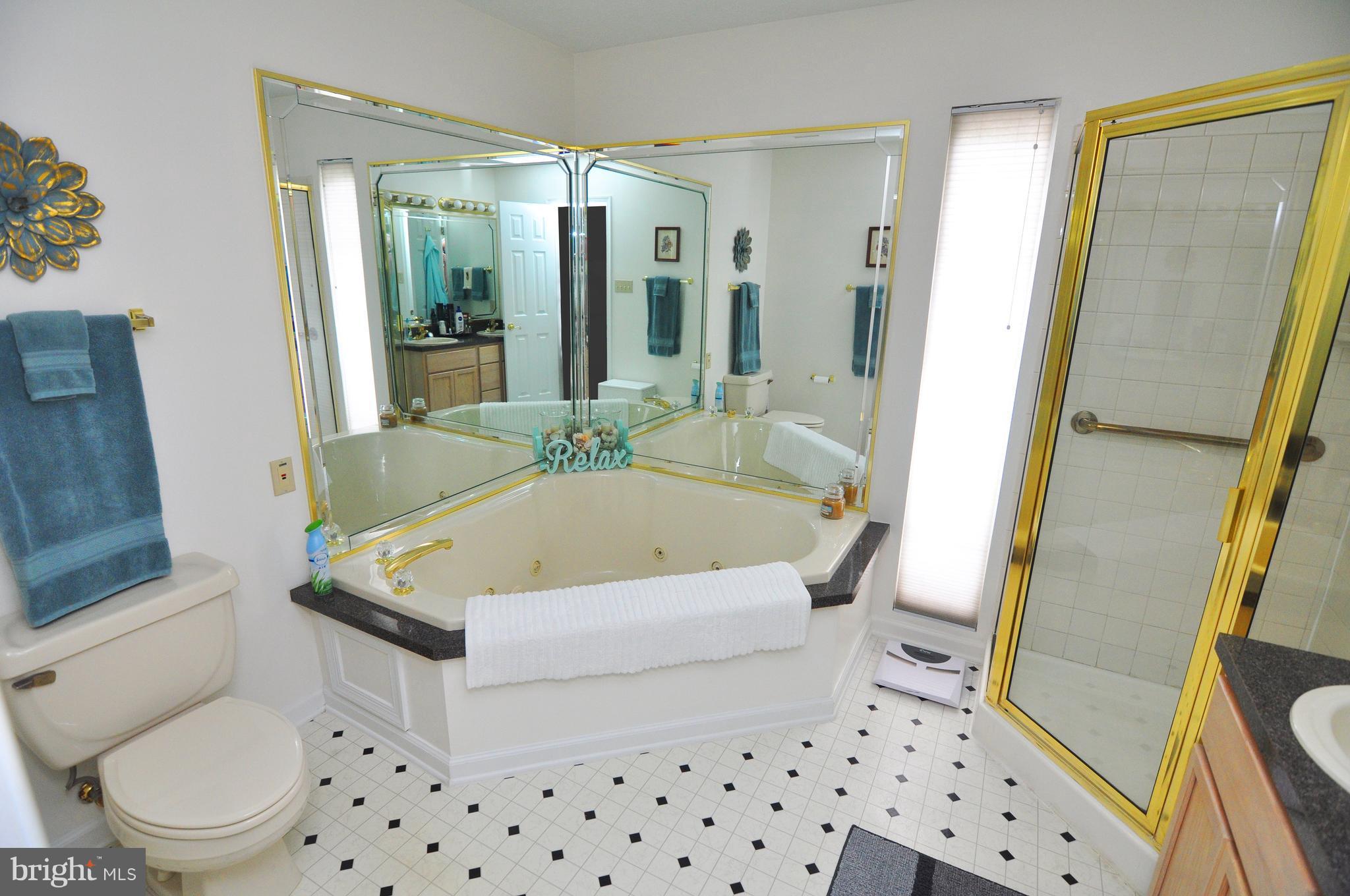202 Canyon Road Winchester, VA 22602 - Photo 20 of 30 Master bath