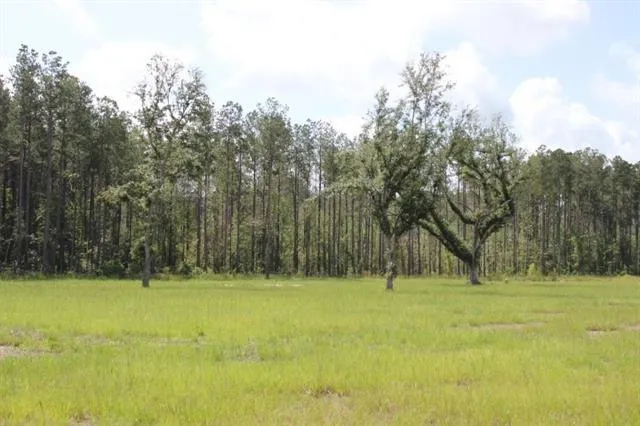 $58,000 | 29658 Billy Joe Road, Independence, LA 70443